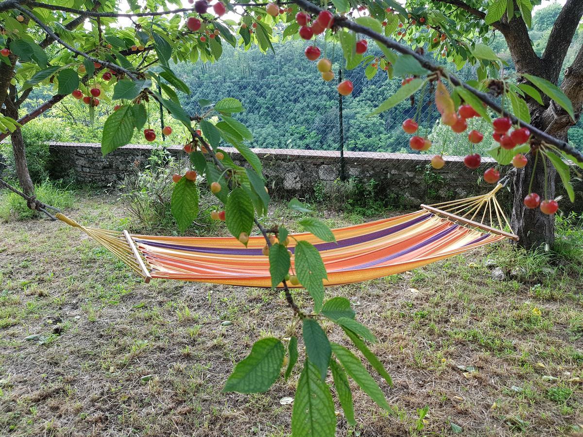 Guest House Il Giardino Колле-ди-Валь-д'Эльса Экстерьер фото